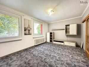 Pronájem bytu 2+1, Teplice - Trnovany, Gagarinova, 56 m2
