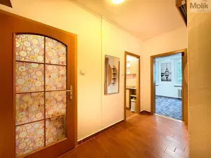 Pronájem bytu 2+1, Teplice - Trnovany, Gagarinova, 56 m2