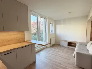 Pronájem bytu 1+kk, Praha - Strašnice, Strančická, 24 m2