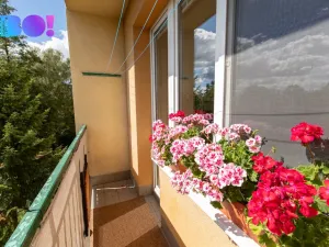 Prodej bytu 4+kk, Havířov, Okrajová, 74 m2