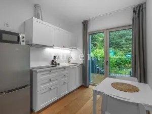 Prodej bytu 1+kk, Pec pod Sněžkou, 36 m2