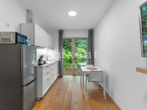 Prodej bytu 1+kk, Pec pod Sněžkou, 36 m2