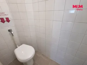 Pronájem obchodního prostoru, Beroun - Beroun-Centrum, Česká, 64 m2