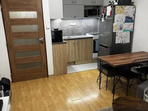 Pronájem bytu 1+kk, Olomouc, Synkova, 34 m2