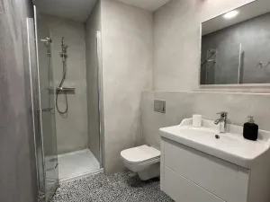 Pronájem bytu 2+kk, Praha - Vinohrady, Perucká, 40 m2