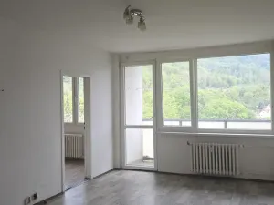 Pronájem bytu 3+1, Ústí nad Labem, 77 m2