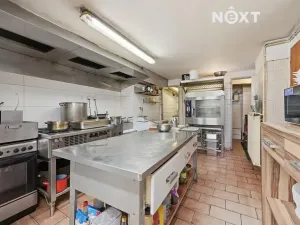 Prodej vícegeneračního domu, Hejnice, P. Bezruče, 802 m2