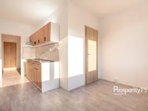 Prodej bytu 2+1, Ústí nad Labem - Střekov, Nová, 62 m2