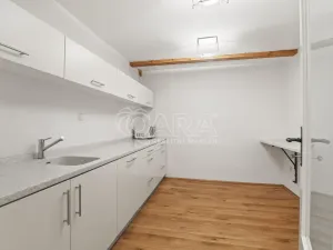 Pronájem komerční nemovitosti, Praha - Ďáblice, Na terase, 470 m2