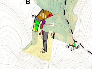 Dražba lesa, Bělá nad Svitavou, 284 m2