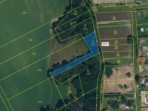 Dražba lesa, Oleksovice, 550 m2