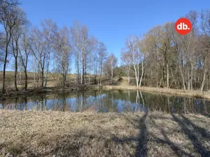 Prodej rybníku, Toužim, 5506 m2
