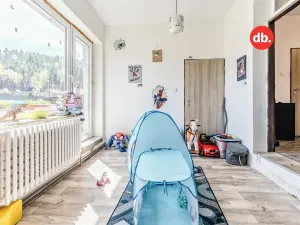 Prodej vícegeneračního domu, Karlovy Vary, K Přehradě, 568 m2
