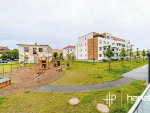Pronájem bytu 2+kk, Olomouc, Třída Jiřího Pelikána, 53 m2