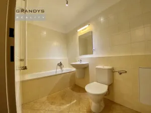 Pronájem bytu 1+kk, Praha - Vysočany, Poděbradská, 43 m2