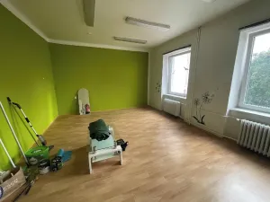 Pronájem kanceláře, Pardubice, Havlíčkova, 29 m2