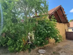 Prodej rodinného domu, Žďárná, 200 m2