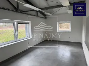 Pronájem skladu, Ostrava, Opavská, 501 m2