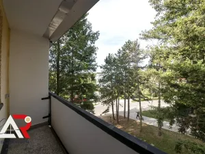Prodej bytu 2+1, Brno, Luční, 50 m2