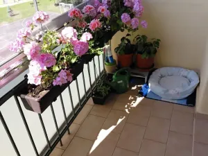Prodej bytu 2+1, Kroměříž, Nádražní, 83 m2