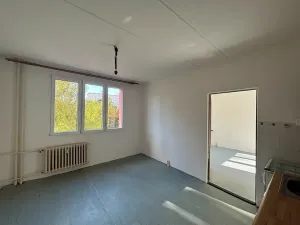 Pronájem bytu 1+1, Plzeň, Karla Steinera, 36 m2