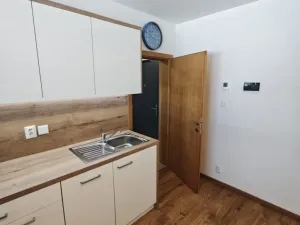 Pronájem bytu 1+kk, Plzeň - Skvrňany, Domažlická, 25 m2