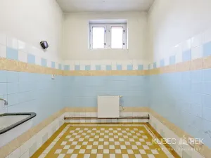 Prodej skladu, Tábor, Nábřeží, 237 m2