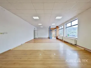 Prodej obchodního prostoru, Tábor, Nábřeží, 237 m2