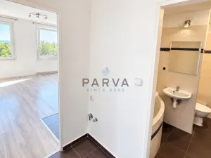 Pronájem bytu 1+kk, Plzeň - Bolevec, Krašovská, 30 m2