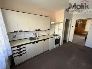 Prodej bytu 2+1, Litvínov - Horní Litvínov, U Zámeckého parku, 56 m2
