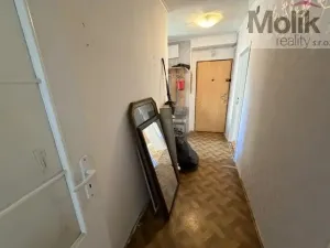 Prodej bytu 2+1, Litvínov - Horní Litvínov, U Zámeckého parku, 56 m2
