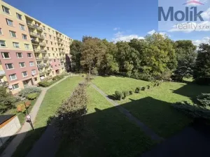 Prodej bytu 2+1, Litvínov - Horní Litvínov, U Zámeckého parku, 56 m2