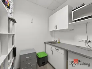 Pronájem obchodního prostoru, Plzeň - Černice, Vltavínová, 66 m2