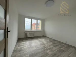 Pronájem bytu 2+1, Litvínov - Janov, Kopistská, 38 m2