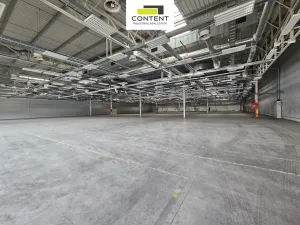 Pronájem skladu, Plzeň - Skvrňany, U Nové Hospody, 11000 m2