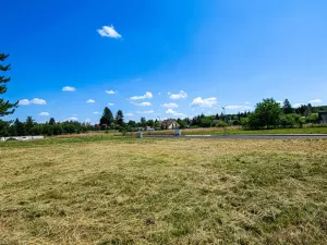 Prodej pozemku, Louňovice, Svojetická, 801 m2