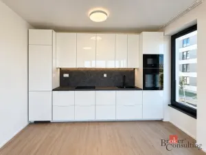 Pronájem bytu 2+kk, Plzeň - Jižní Předměstí, Železná, 57 m2
