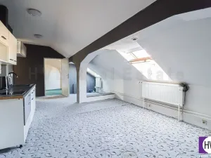 Prodej obchodního prostoru, Ostrava - Mariánské Hory, Daliborova, 642 m2