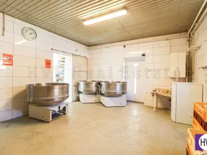 Prodej obchodního prostoru, Ostrava - Mariánské Hory, Daliborova, 642 m2