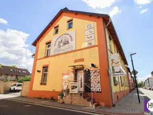 Prodej obchodního prostoru, Ostrava - Mariánské Hory, Daliborova, 642 m2