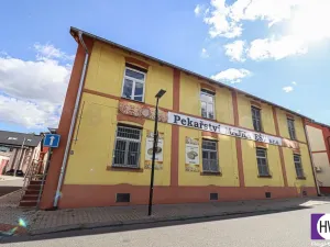 Prodej obchodního prostoru, Ostrava - Mariánské Hory, Daliborova, 642 m2