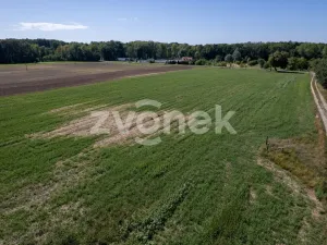 Prodej komerčního pozemku, Chropyně - Plešovec, 12000 m2