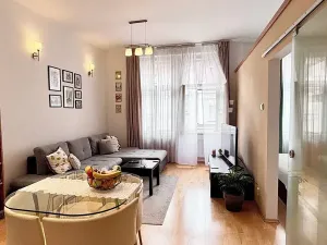 Prodej bytu 1+1, Praha - Vinohrady, Anny Letenské, 50 m2