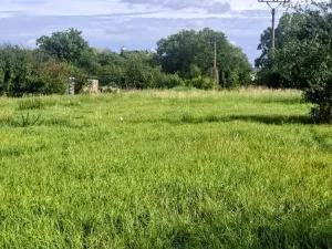 Prodej rodinného domu, Loučany, 250 m2