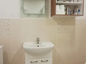 Prodej rodinného domu, Loučany, 250 m2