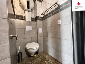 Pronájem bytu 1+kk, Plzeň - Jižní Předměstí, Husova, 55 m2