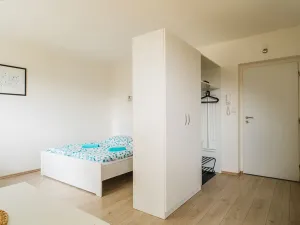 Prodej apartmánu, Staré Město - Stříbrnice, 450 m2