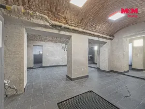 Pronájem komerční nemovitosti, Praha, Seifertova, 100 m2