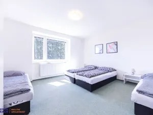 Prodej chaty, Staré Město - Stříbrnice, 450 m2