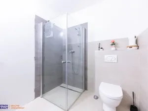 Prodej chaty, Staré Město - Stříbrnice, 450 m2